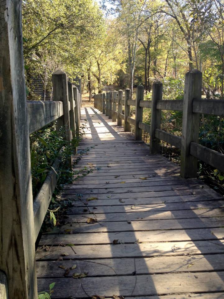 to Boo City Exploring Durham’s Best Halloween Activities and